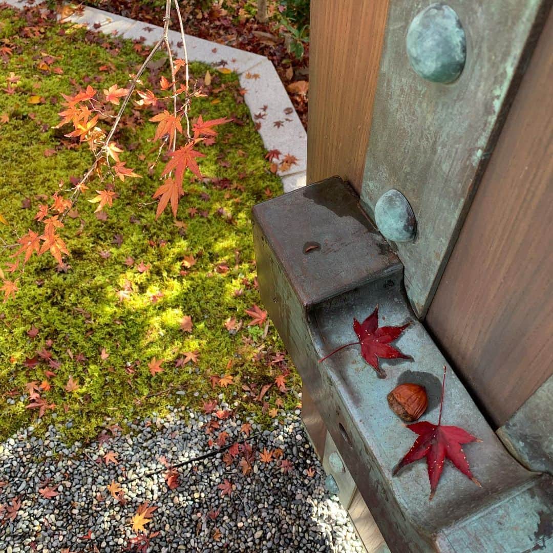 オーランド・ブルームさんのインスタグラム写真 - (オーランド・ブルームInstagram)「some Japanese autumnal moments 🍁🇯🇵❤️」11月30日 10時09分 - orlandobloom
