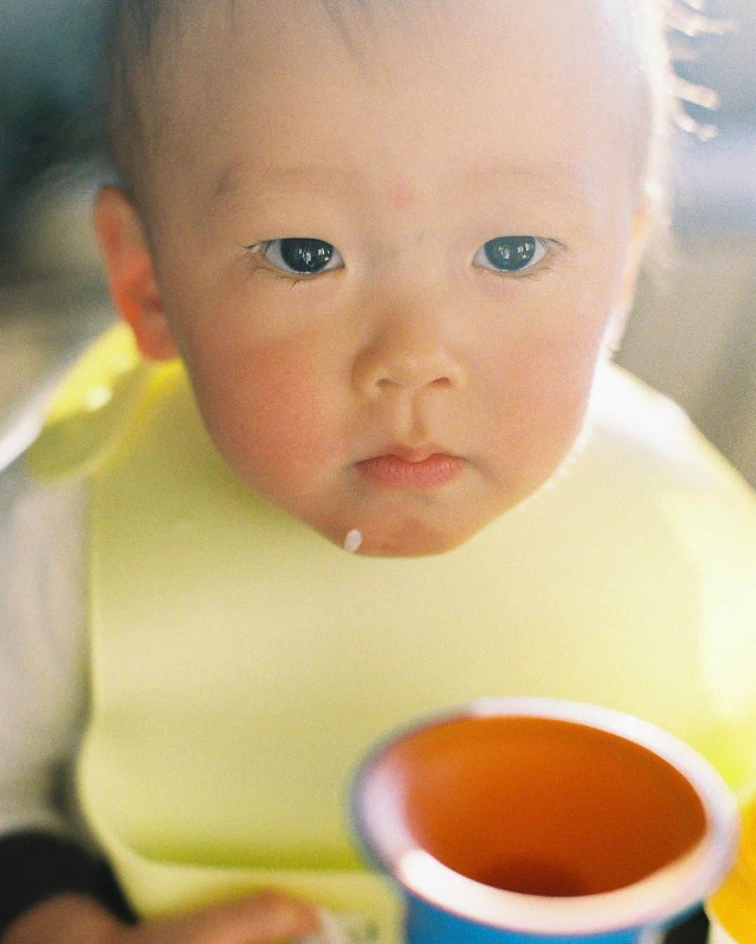 花盛友里のインスタグラム：「毎日てんやわんや！ うちのご飯つぶちゃん。」