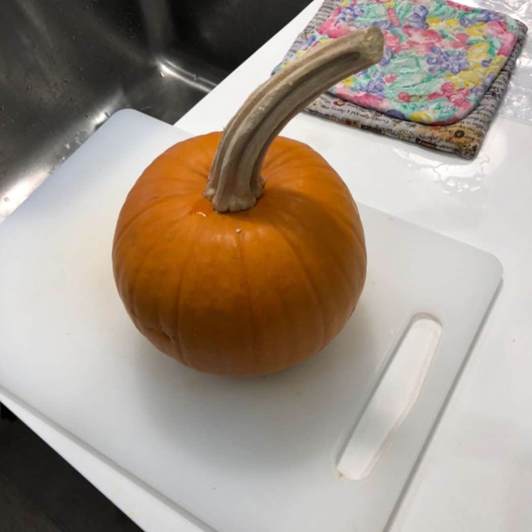 T・J・サインさんのインスタグラム写真 - (T・J・サインInstagram)「Okay okay! My sister Katie made this pumpkin pie. 🥧. The homemade one i made is the last pic. What?! I like burnt things! 🥵🤪😂 HAPPY THANKSGIVING 🍁」11月30日 11時01分 - tjthynegram
