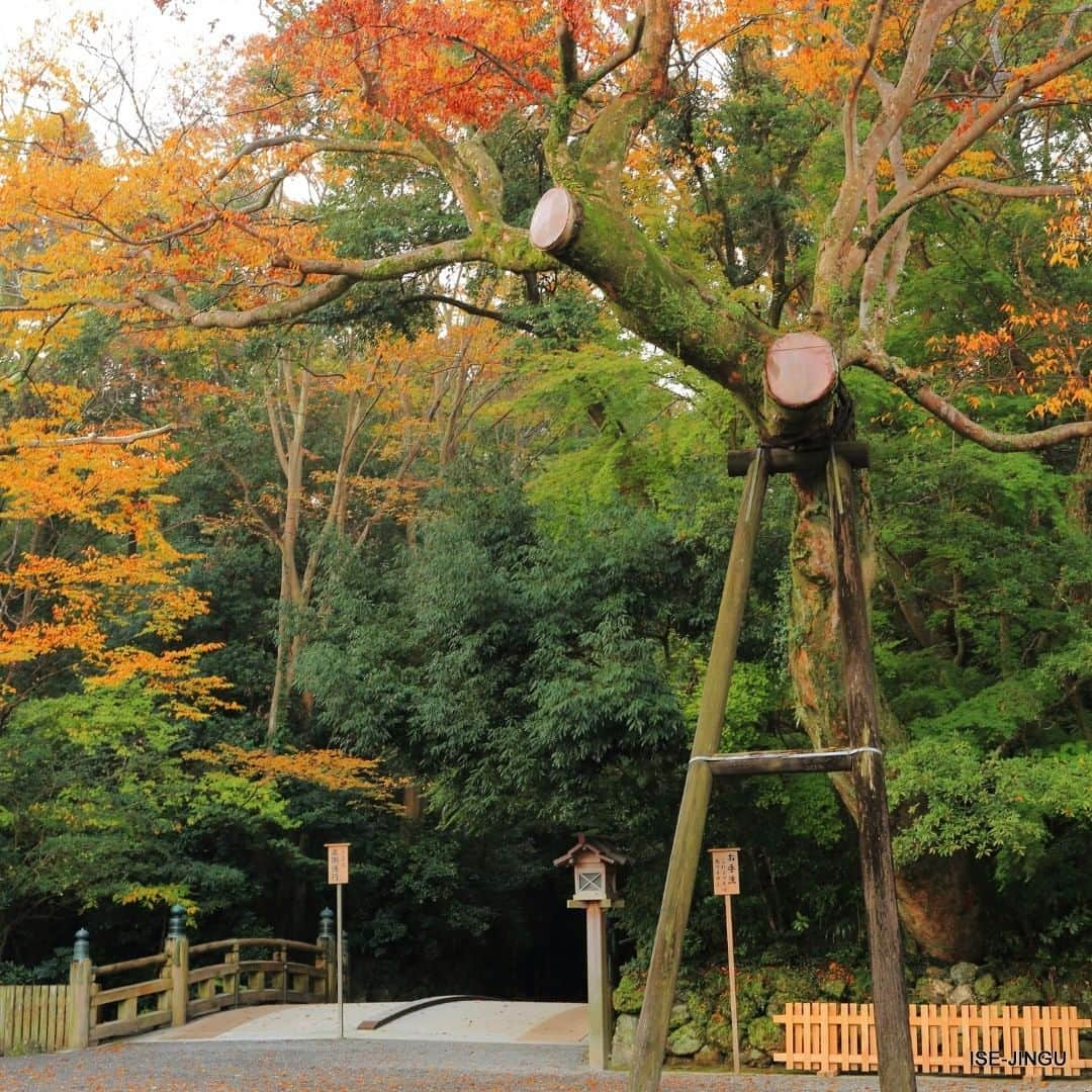 伊勢神宮のインスタグラム