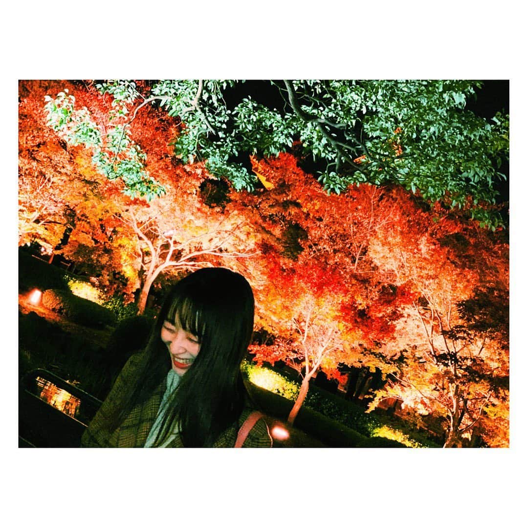 のインスタグラム：「ドン引きするくらいこの類の写真続く予定でございます。この後大阪もあるからね。はは。  #お気に入り #京都 #東寺 #紅葉 #もみじ #絶景 #美 #ライトアップ紅葉 #日本 #秋 #kyoto #tojitemple #autumnleaves #mapletree #beautifulview #lightup #temple #japan #japaneseautumn」