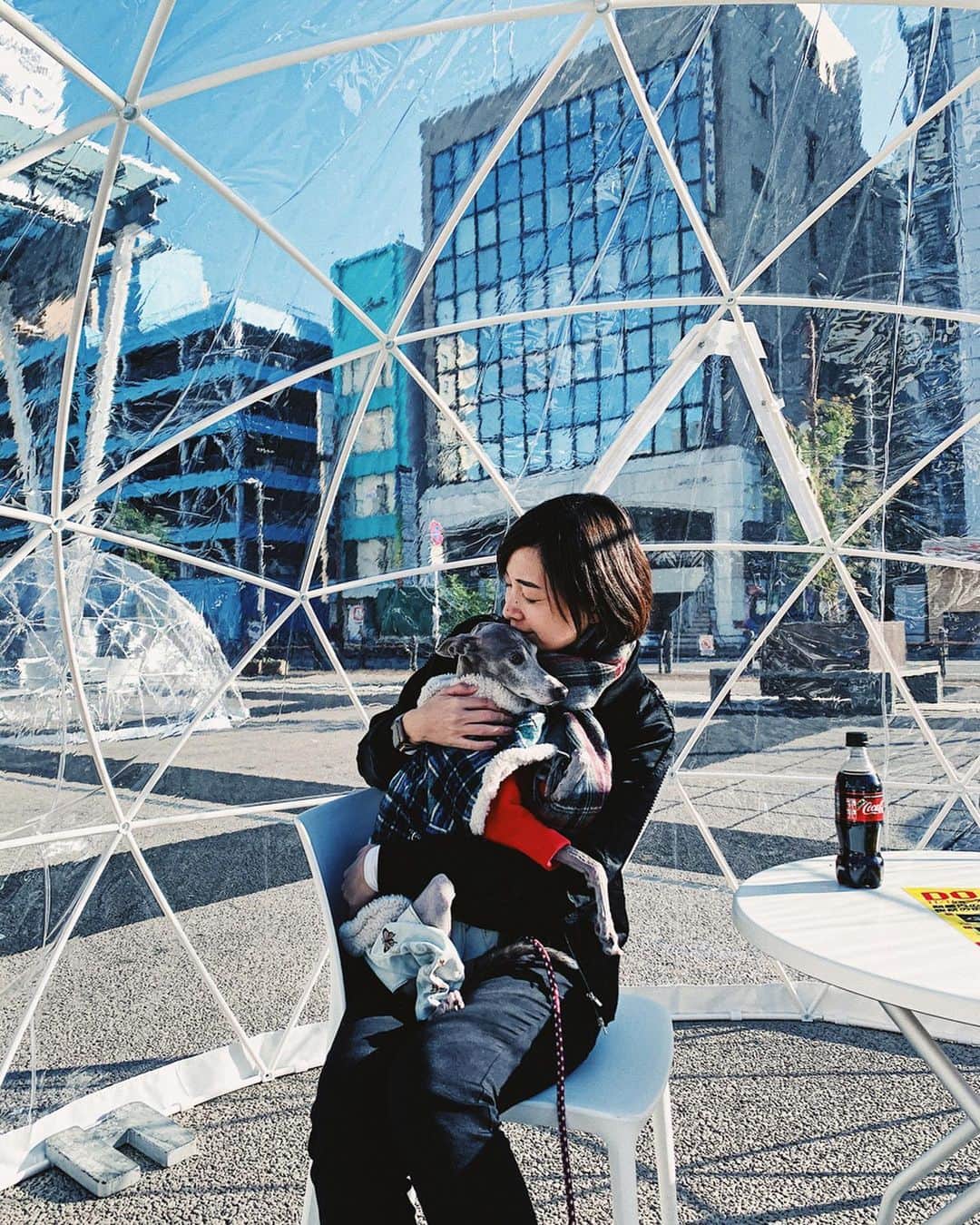 のインスタグラム：「* ******** Warm up in the dome tent🐕 * 駅前に突然出来ていたドーム型テント。 自由に使っていいとのことで、早速#shiroburger をテイクアウトして、テントの中で食べることに。 中はものすごく暖かい〜☺️ アウターとマフラーを取って、ぬくぬくと寛いでしまいました😊❤️ 2月まで常設してるみたいなので、お散歩休憩所の救世主が現れてくれた気がします！😍🙏 * ******** #イタグレ#イタリアングレーハウンド#italiangreyhound#dogstagram#イタグレとの暮らし#iggysofinstagram#iggygram #iggylove#iggylife#犬のいる暮らし#イタグレ服#iggysoftheworld #iggysofinstagram #dogsofig #dogsofinstagram #プチプラコーデ #犬好きな人と繋がりたい#オシャレさんと繋がりたい#犬服ハンドメイド#リンクコーデ#おんせん県おおいた」