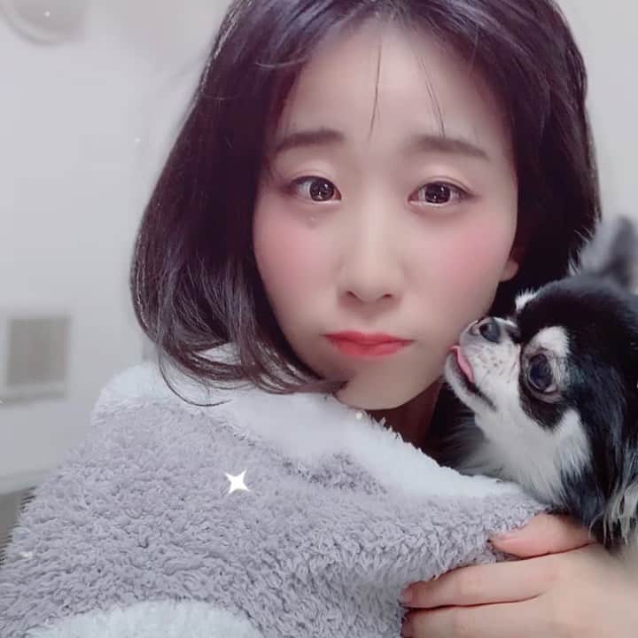 ぱちおまるのインスタグラム