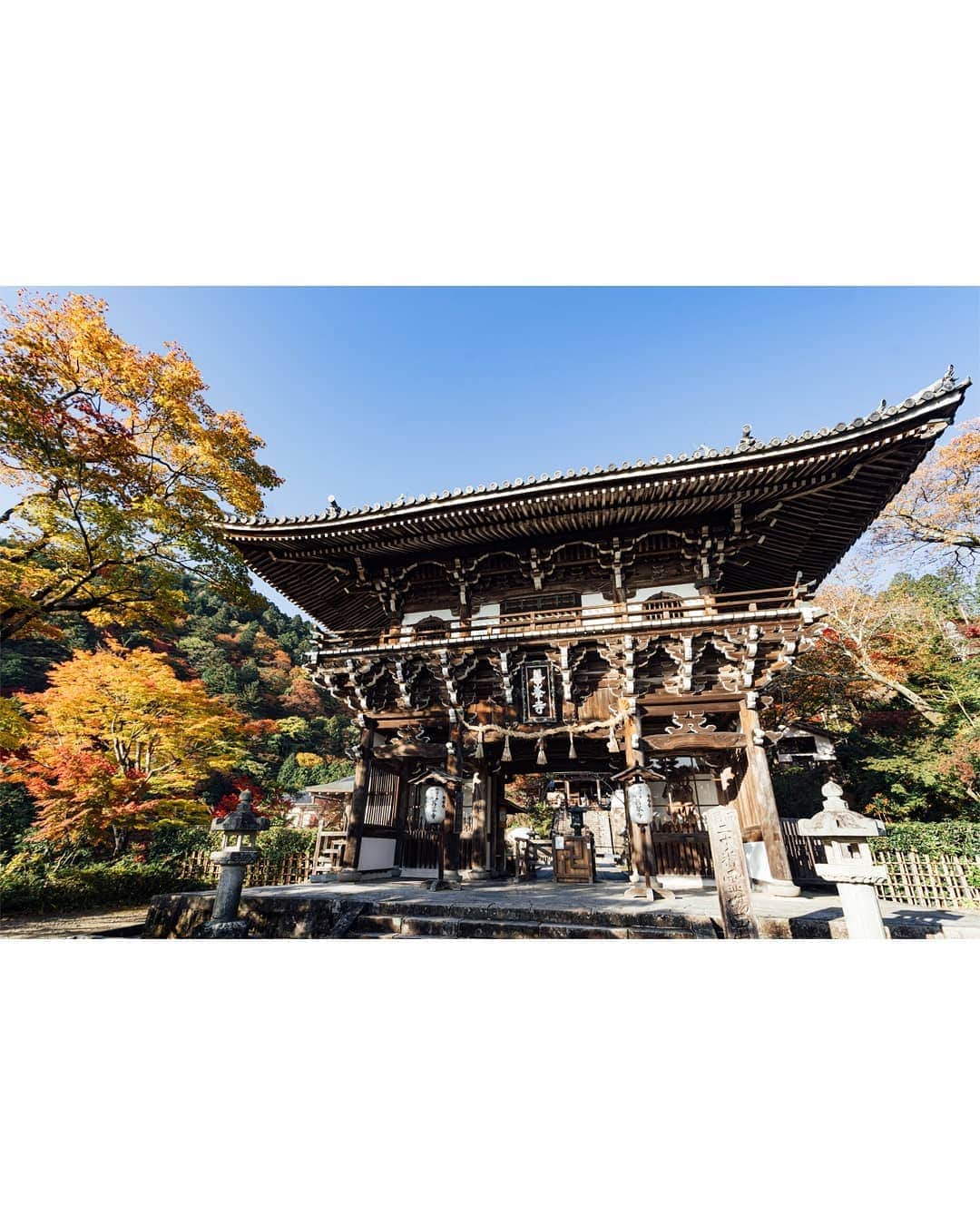 京都いいとこフォトさんのインスタグラム写真 - (京都いいとこフォトInstagram)「西山連峰の中腹にある善峯寺。 美しい紅葉と、京都市街を一望できる素晴らしい眺めを楽しむことができます。 . Yoshiminedera Temple in the middle of the Nishiyama mountain range. We can enjoy beautiful autumn leaves and a wonderful view overlooking Kyoto city. . . . Date:2019.11.17 Location:#yoshiminedera #善峯寺 Photo:@iharalba」11月30日 13時12分 - kyoto_iitoko
