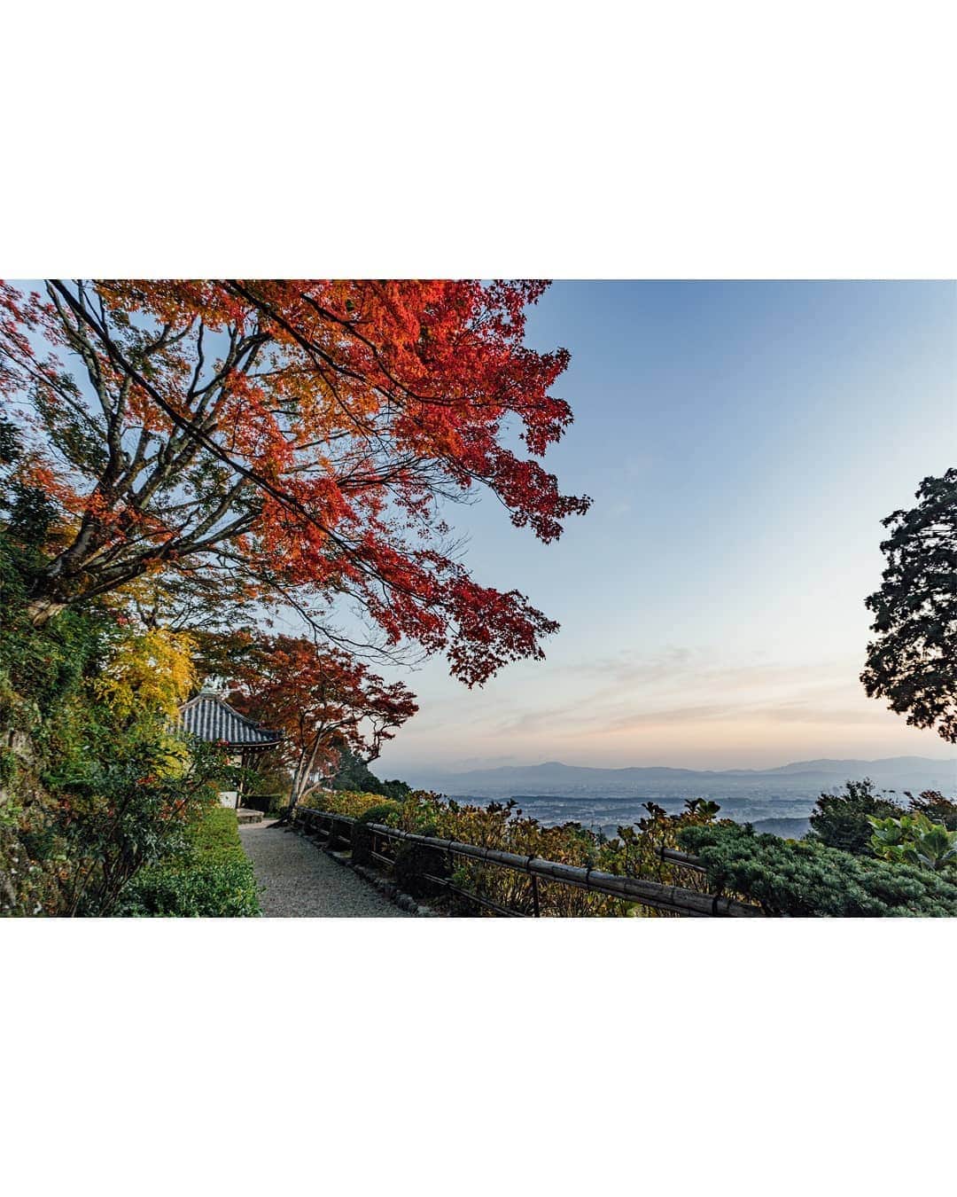 京都いいとこフォトさんのインスタグラム写真 - (京都いいとこフォトInstagram)「西山連峰の中腹にある善峯寺。 美しい紅葉と、京都市街を一望できる素晴らしい眺めを楽しむことができます。 . Yoshiminedera Temple in the middle of the Nishiyama mountain range. We can enjoy beautiful autumn leaves and a wonderful view overlooking Kyoto city. . . . Date:2019.11.17 Location:#yoshiminedera #善峯寺 Photo:@iharalba」11月30日 13時12分 - kyoto_iitoko