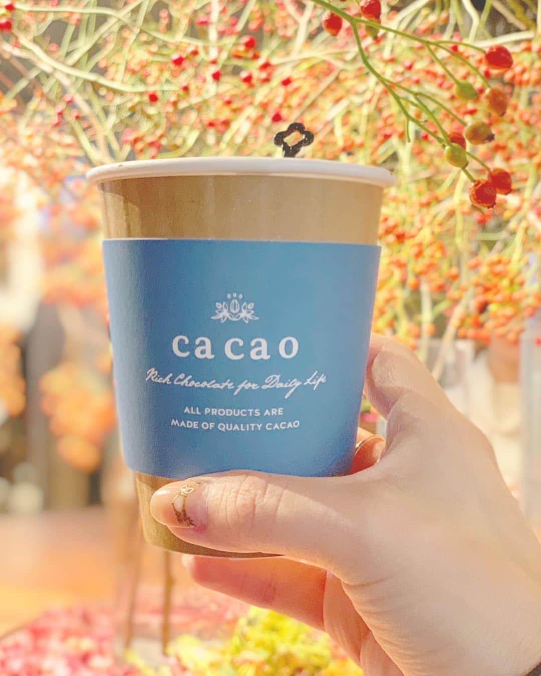 Dressy編集長 ♡miiのグルメインスタ