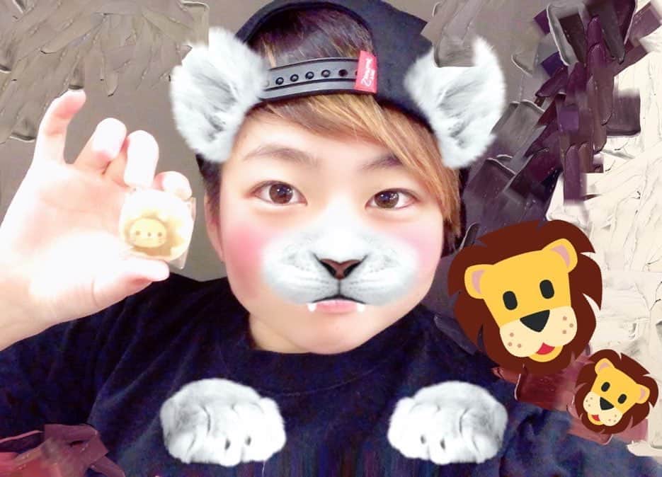 小野崎玲皇のインスタグラム：「ライオンのお菓子🦁」