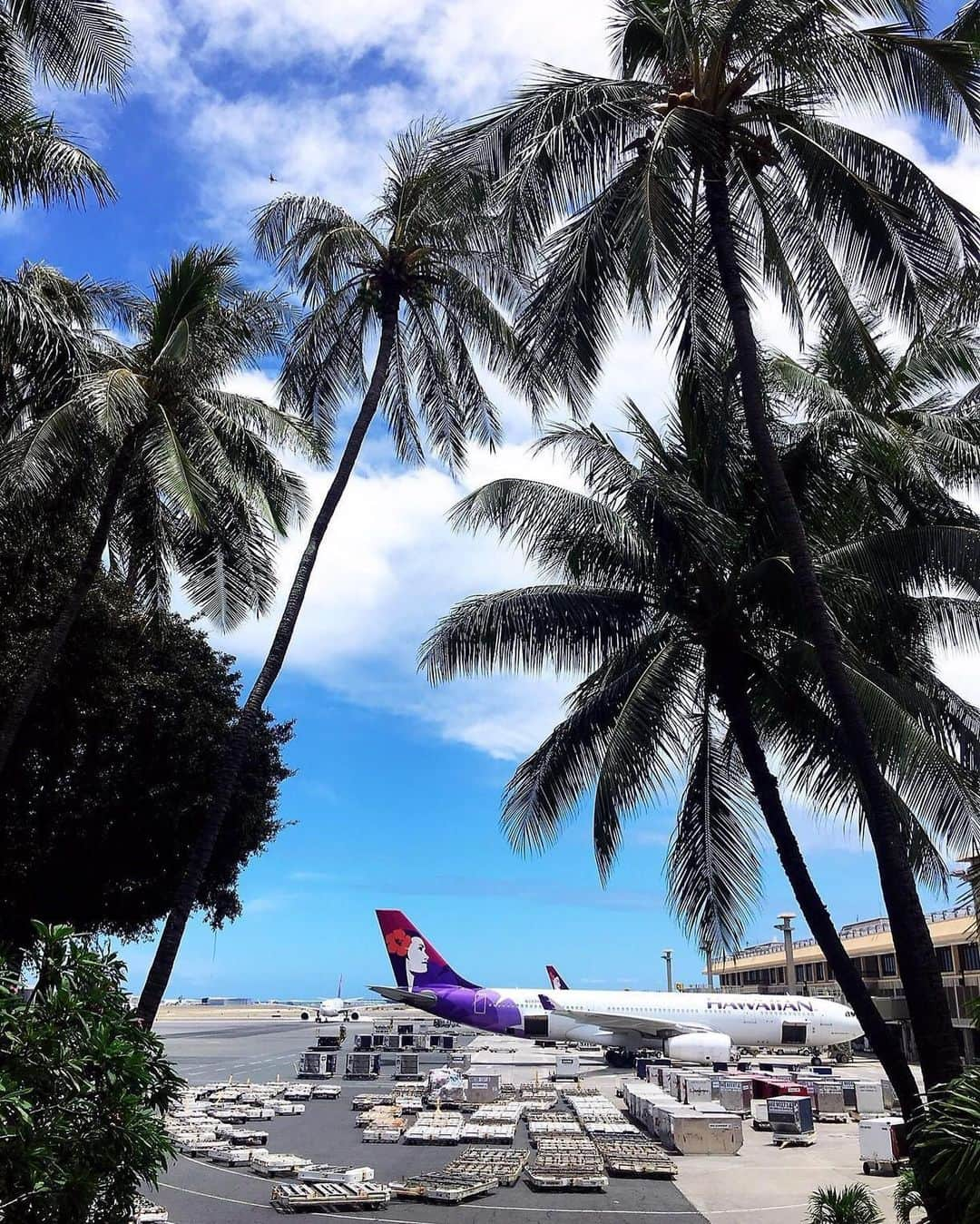 ハワイアン航空さんのインスタグラム写真 - (ハワイアン航空Instagram)「次にハワイに一緒に行きたい人にコメントを付けてリポストしてください 🏝 📷: @kevinckphoto .  #プアラニ #乗った時からハワイがはじまる #ハワイ旅行 #ハワイアン航空 #エアバスA330」11月30日 13時43分 - hawaiianairlinesjp