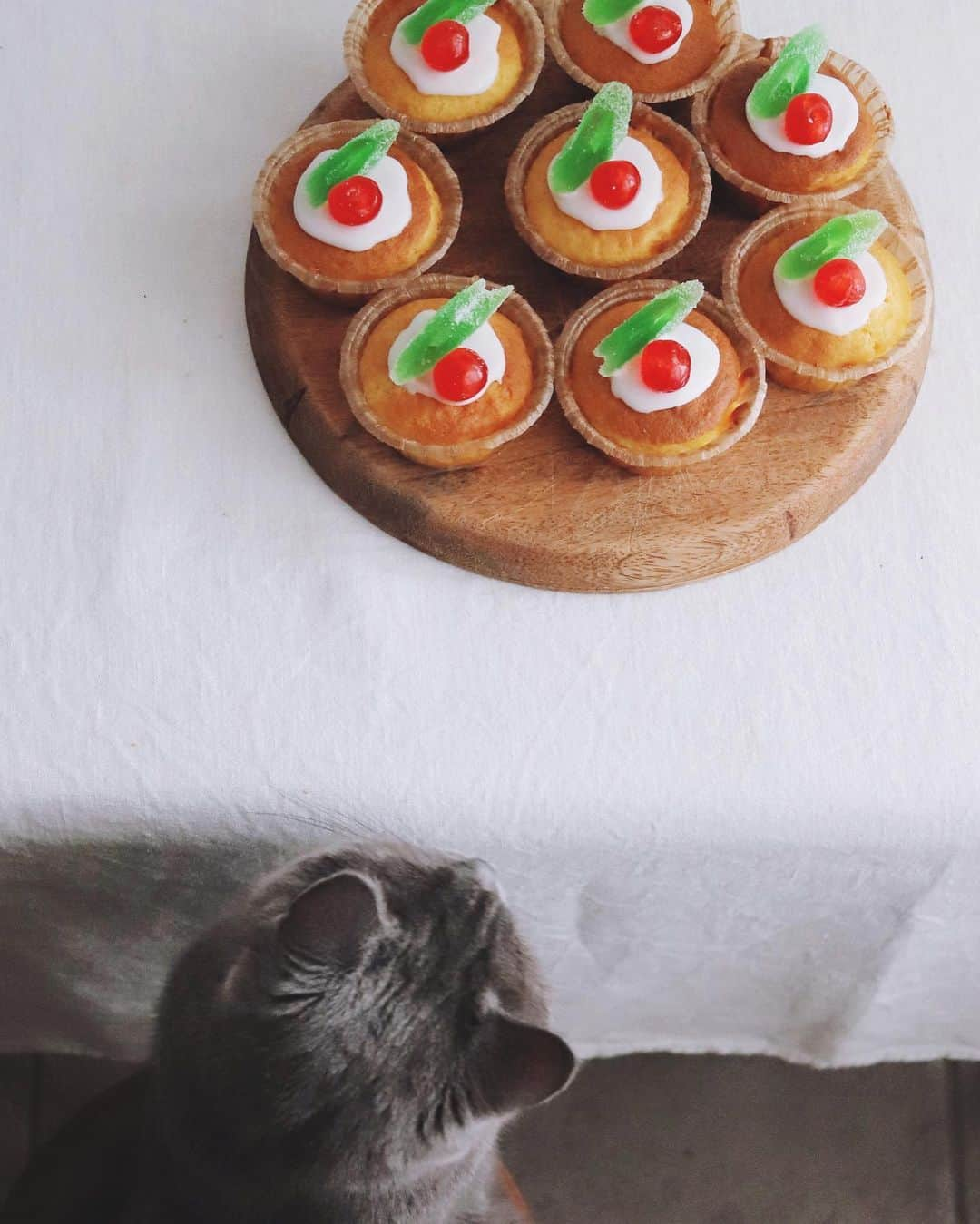 樋口正樹さんのインスタグラム写真 - (樋口正樹Instagram)「Muffins 🎄 . 週末のおやつ作り。 マフィンケーキに ドレンチェリーと アンゼリカ飾って、 なんか素朴だけど クリスマス仕様に。 . 後ろ姿のボナさん ほとんど大ネズミ。 . #おやつとボナさん #マフィン #ドレンチェリー #アンゼリカ #樋口ボナ #bonahiguchi #muffin #muffins #homemadecake」11月30日 13時56分 - higuccini