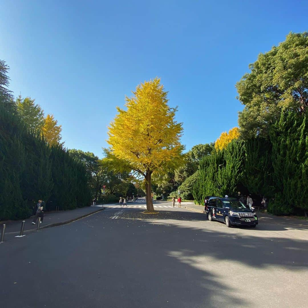 ステファニー・ヨーステンさんのインスタグラム写真 - (ステファニー・ヨーステンInstagram)「Autumn in Tokyo 🍁🇯🇵 #東京 #紅葉 #秋 #Tokyo #autumnleaves #🍂 #🍁」11月30日 14時04分 - stefaniejoosten