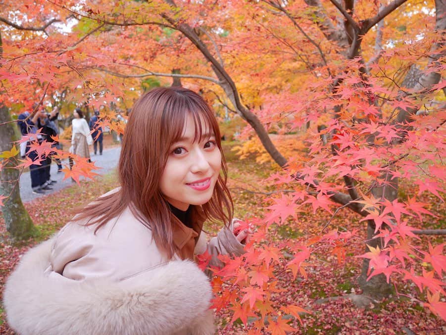 黒坂優香子さんのインスタグラム写真 - (黒坂優香子Instagram)「🍁❤️」11月30日 14時14分 - yukakokurosaka0606