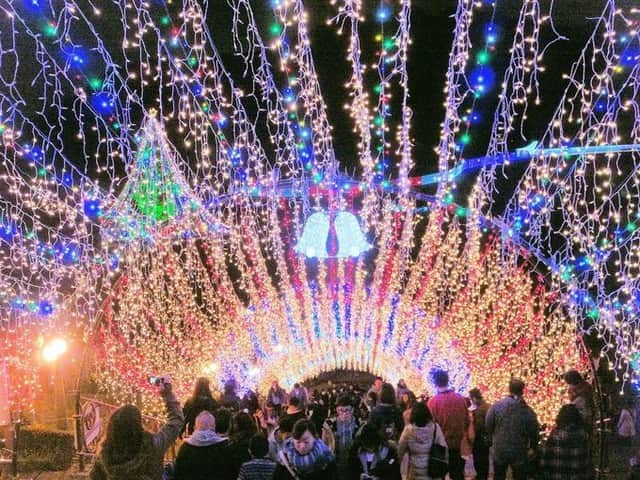 Travel.jp / トラベルjpさんのインスタグラム写真 - (Travel.jp / トラベルjpInstagram)「✈【神奈川】意外と穴場？⁠ .⁠ 幻想的な水の郷で開かれる、光の宴へ。⁠ 宮ヶ瀬イルミはフードエリアも充実！⁠ 2019年12月27日（日）までの期間限定開催です。⁠ 【写真/浦賀 太一郎】⁠ .⁠ 詳しい情報は【LINEトラベルjp 宮ヶ瀬イルミ】で検索❤️⁠ .⁠ #LTJ47イルミ #旅行 #旅行好き #旅行好きな人と繋がりたい #トラベラー #女子旅 #女子旅行 #国内旅行 #海外旅行 #インスタ映え #トラベル #トリップ #絶景 #カメラ女子 #カメラ男子 #ダレカニミセタイケシキ #LINEトラベルjp #時短トラベル #神奈川 #神奈川イルミ #イルミ #イルミネーション #宮ヶ瀬」11月30日 15時00分 - travel.jp