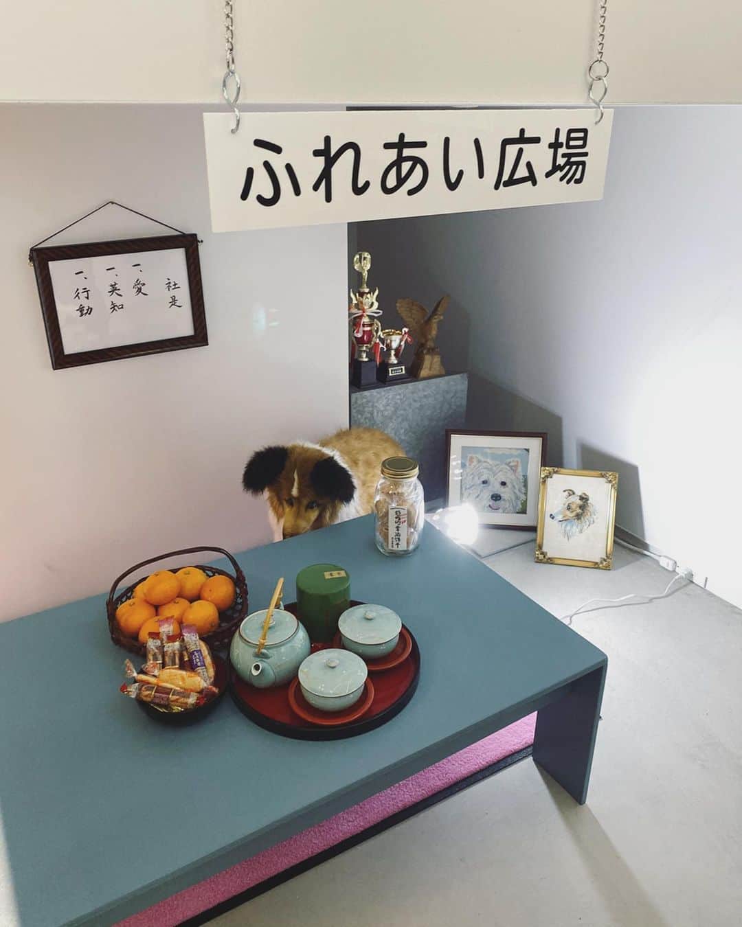 村田倫子さんのインスタグラム写真 - (村田倫子Instagram)「🐕 平野さんに久々に会えてうれしかった日。」11月30日 15時18分 - rinco1023