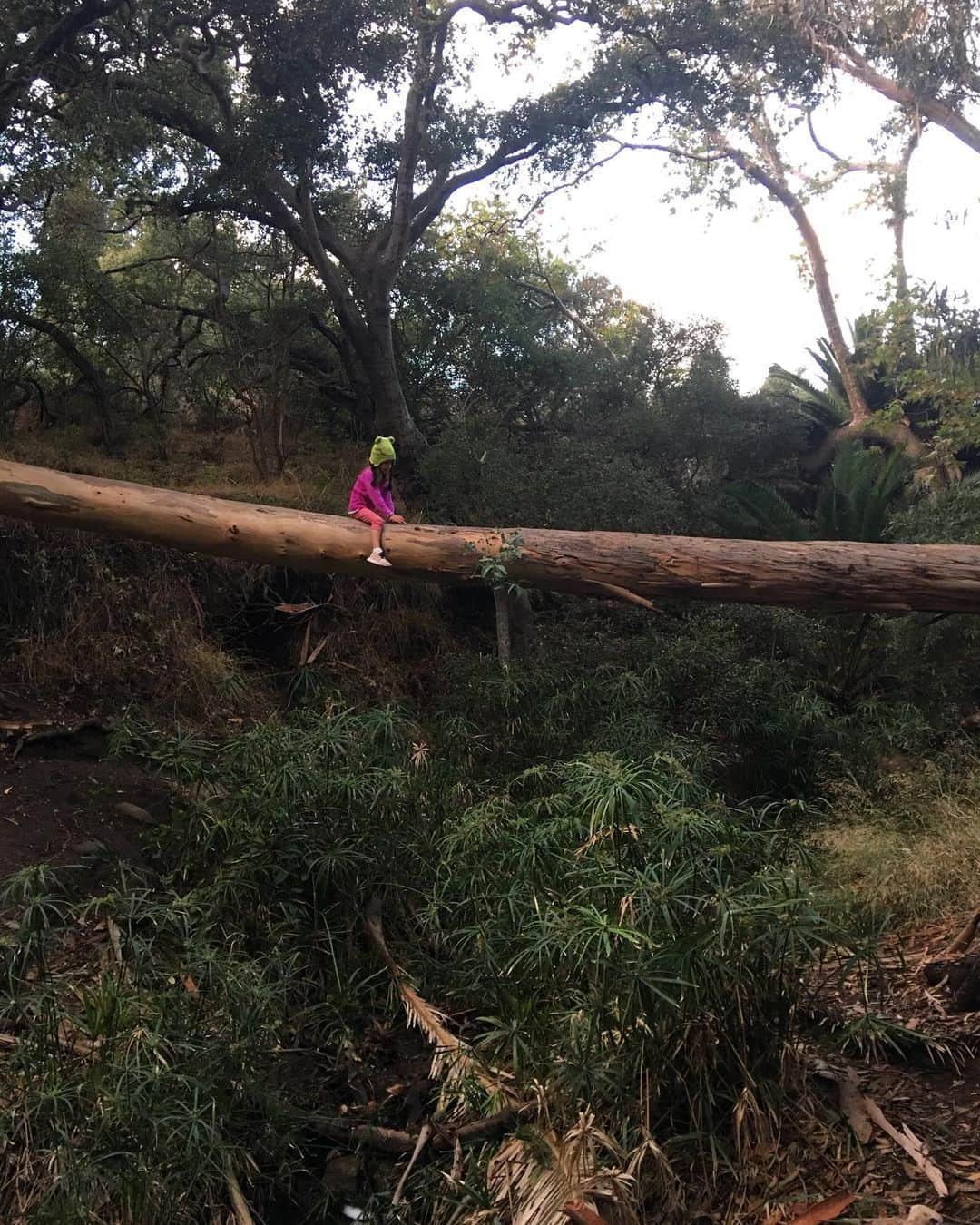 チャド・ロウさんのインスタグラム写真 - (チャド・ロウInstagram)「My girls in nature! So much to be thankful for!  #Blessed」11月30日 15時33分 - ichadlowe