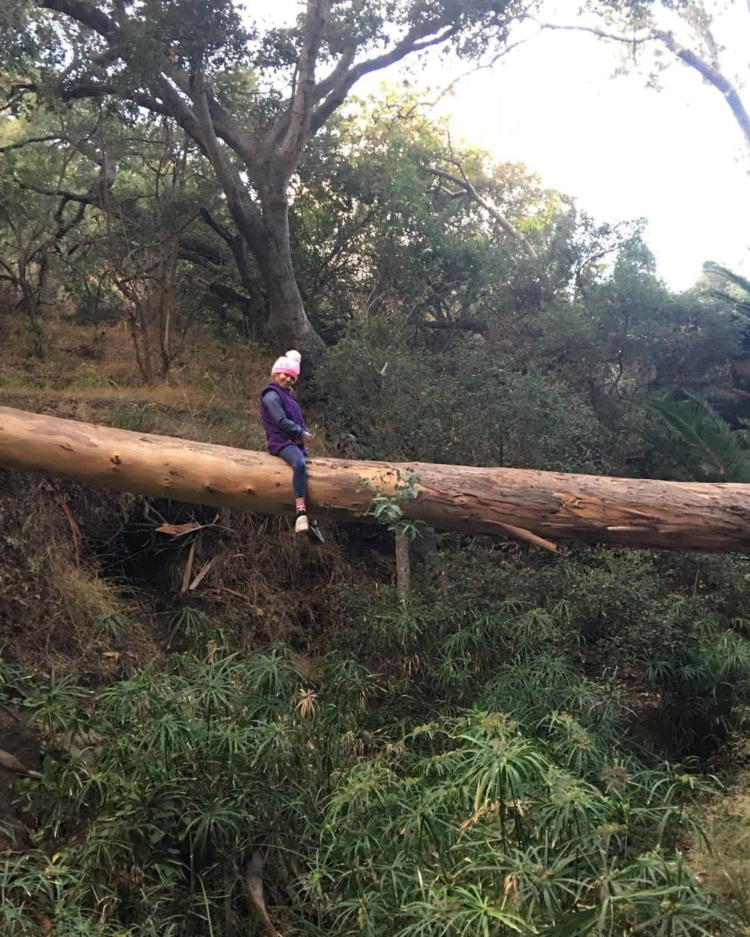 チャド・ロウさんのインスタグラム写真 - (チャド・ロウInstagram)「My girls in nature! So much to be thankful for!  #Blessed」11月30日 15時33分 - ichadlowe