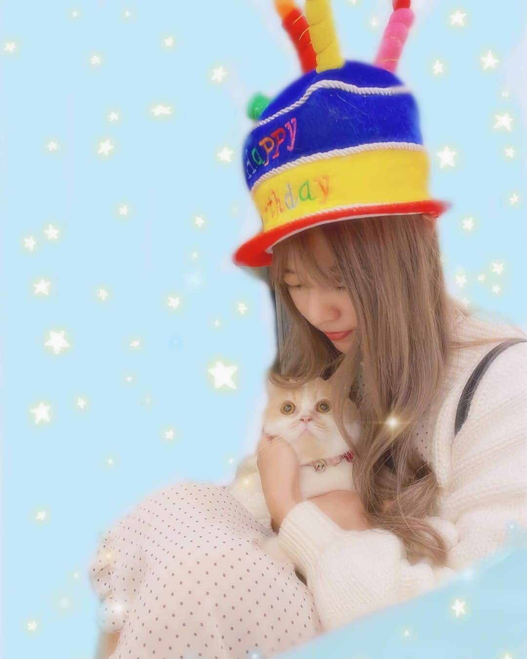 阿部マリアさんのインスタグラム写真 - (阿部マリアInstagram)「🐱🌟💭 #catstagram #みるくたん🐈」11月30日 15時43分 - _abedesu