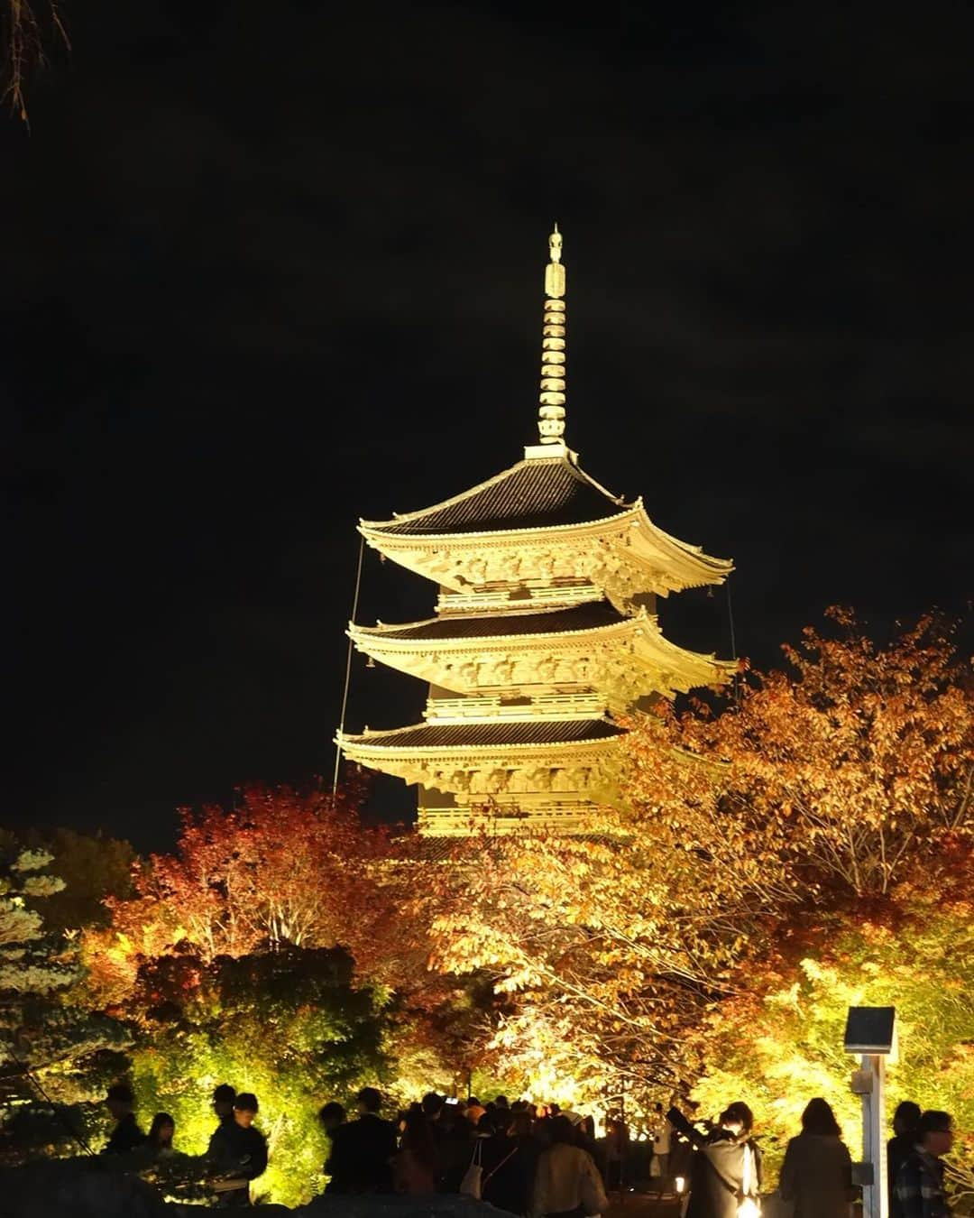 木部さんさんのインスタグラム写真 - (木部さんInstagram)「東寺のきべ！！！🍁✨ . . . . #京都 #はんなり #ライトアップ #紅葉🍁 #おいでやす京都 #秋 #着物女子 #着物コーデ #11月 #kyotojapan #lightup #autumnvibes🍁 #autumnleaves🍂 #oideyasujapon #kimonogirl #kimonostyle #norvember」11月30日 15時48分 - kibe_dayo