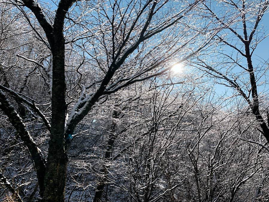 石川文菜さんのインスタグラム写真 - (石川文菜Instagram)「. . . 11月28日 山中湖は雪が降りました🌨 . . もともと冷え込む予報だったので、今シーズン初おろしのTHE NORTH FACE Nuptse Bootie WP Wool Luxe III をもっていって正解🥾✨ . . . #shotoniphone #thenorthface #lakeyamanaka #mtfuji #足元倶楽部」11月30日 16時03分 - bun0404