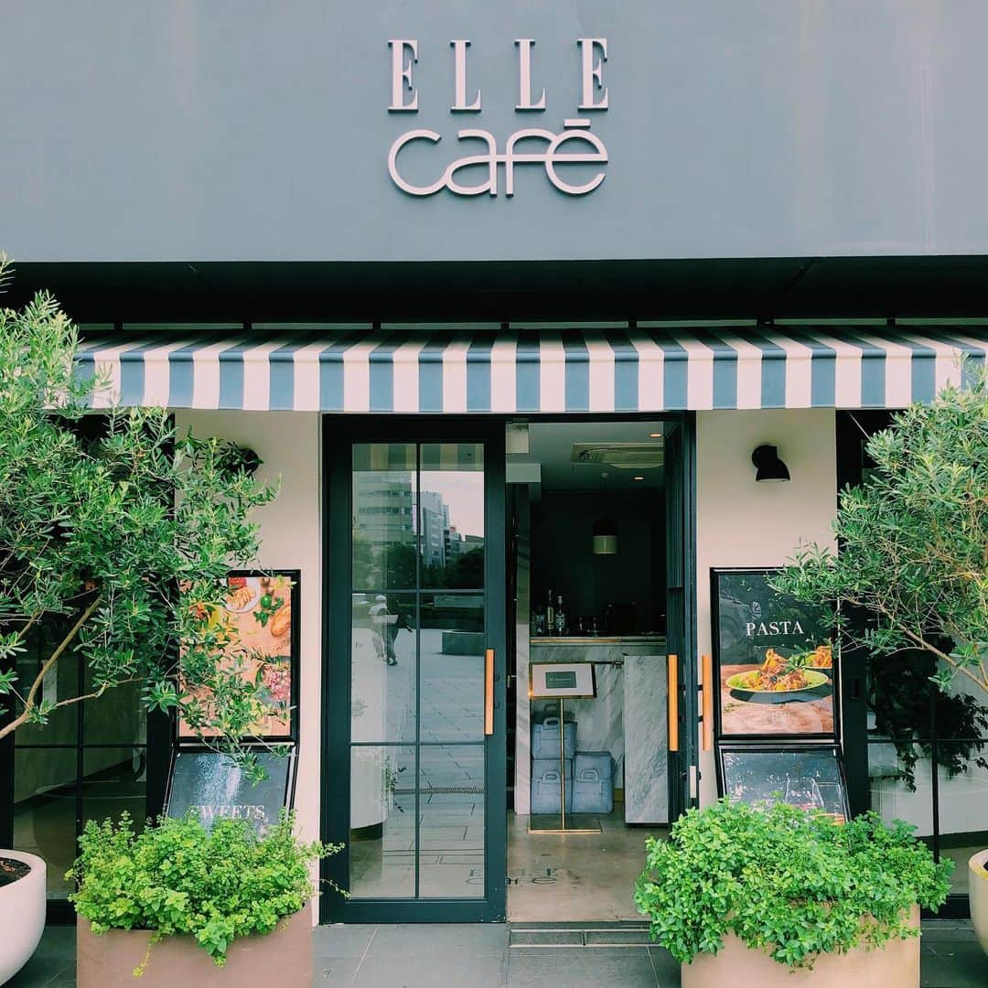 青山ウェディングタウンフォーラムのインスタグラム：「. フランスのファッション誌「ELLE」プロデュース ELLE café（エル カフェ）に併設している ”HEALTHY DELI”に行きました🌞🎶 . 雑誌「ELLE」は1945年に生まれた雑誌で 「すべての女性に喜びに満ちた人生を謳歌してほしい」 という願いを込められているそうです✨😌 . その想いはカフェやデリにも取り入れられ オーガニック食材やグリテンフリーなど ヘルシーなメニューが種類豊富に揃っています . 女性だけでなくアレルギーや健康を気にしている方への ギフトにもいいですね🎁☺️ . ■ELLE café AOYAMA エル カフェ 青山店 住所：東京都渋谷区神宮前5-51-8 1F TEL： 03-6451-1997 . . #elle #エル #ellecafe #エルカフェ #デリ #グルテンフリー #カヌレ #グリーンスムージー #原宿 #表参道 #プチギフト #手土産 #プレゼント #散歩 #カップル #カフェ巡り #クリスマス  #冬婚 #春婚 #青山ウェディングタウンフォーラム #青山 #ウェディング #ウエディング #青山ウェディングスクール #ウェディングスクール #aoyamaweddingschool #school #aoyamaweddingtownforum #wedding」