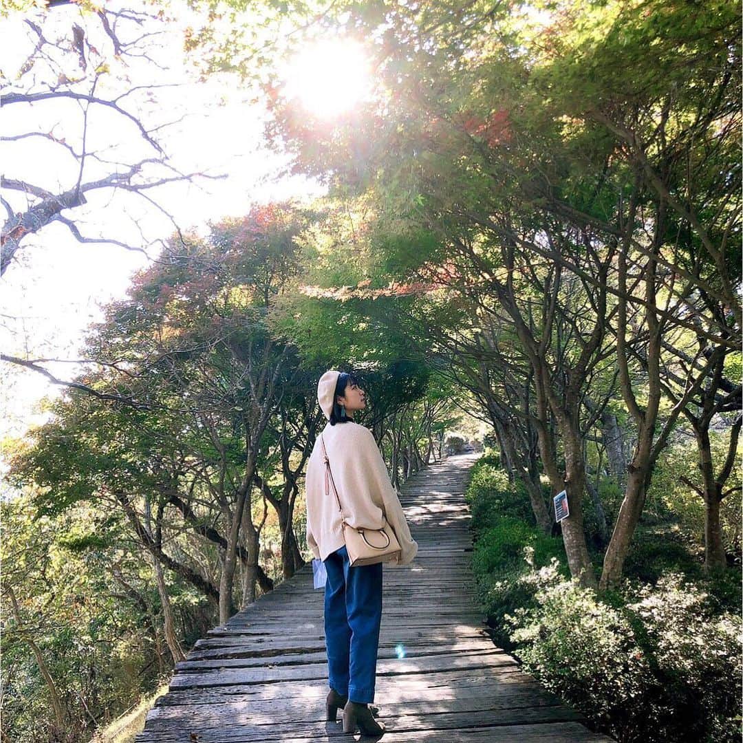 赤崎月香さんのインスタグラム写真 - (赤崎月香Instagram)「・ 紅葉🍁のキレイな季節ですね✨ わたしが見に行ったときは、まだちょっと早かったかな٩( ᐛ )و」11月30日 19時06分 - tsukika_akasaki