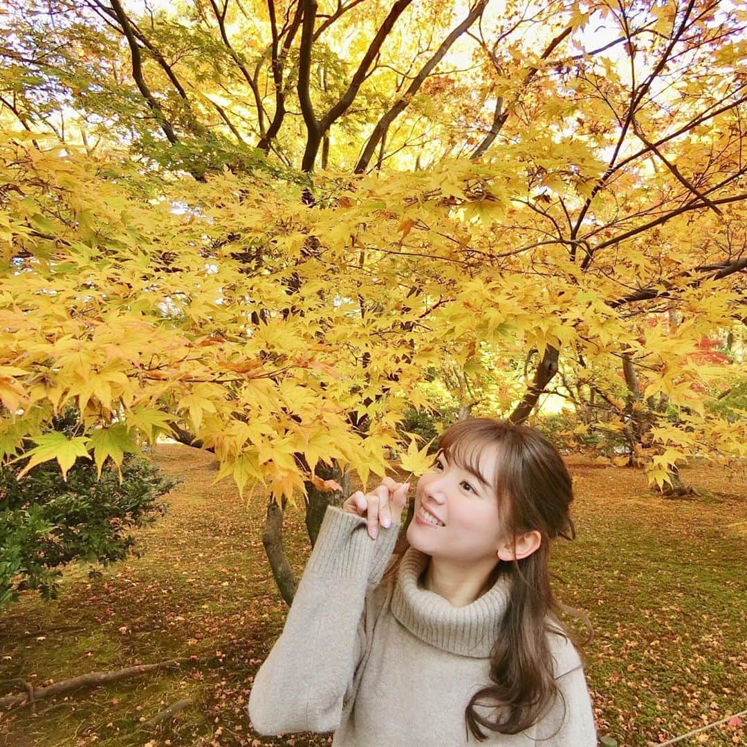 のインスタグラム：「#20191130﻿ ﻿ 11月最後。﻿ 秋の終わり🍂﻿ ﻿ __________________________ #兼六園 #金沢 #紅葉 #秋 #秋の終わり #kanazawa」