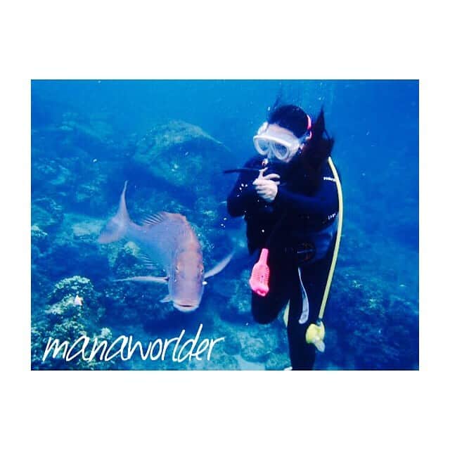 MANAMI SASAKIのインスタグラム：「・ 今日で11月が終わる👏 ・ 今年は秋あんまりなくて寂しかったね🍁 ・ 来年の秋こそは ・ いろーんなところダイビングしに行く🐳❣️ ・ ・ #ダイビング好きな人と繋がりたい  #海外旅行 #世界遺産検定1級 #写真好きな人と繋がりたい #海外旅行好きな人と繋がりたい」