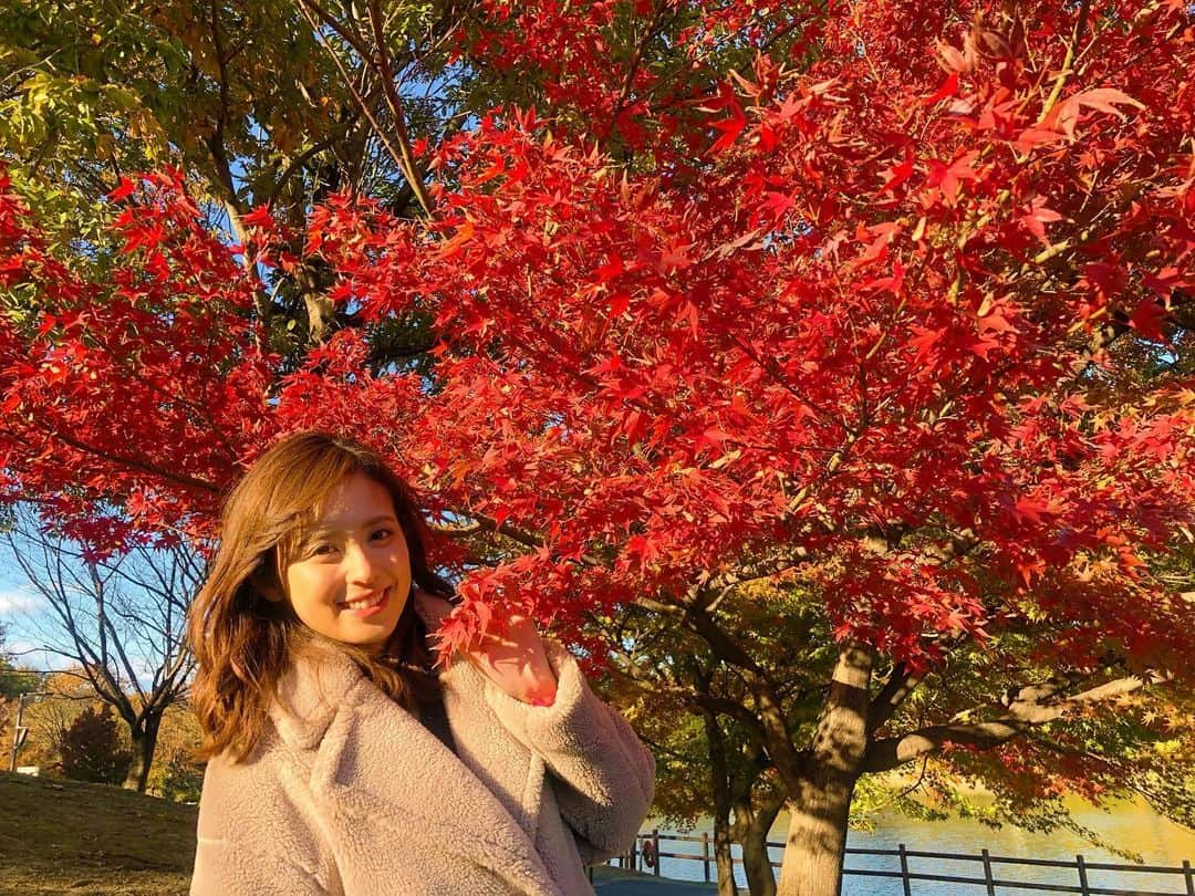 久慈暁子さんのインスタグラム写真 - (久慈暁子Instagram)「* 今朝は京都から紅葉をお届けしましたが 昨日名古屋に行ったら 紅葉が見頃でした🍁 燃えるような赤と黄色の葉が美しい✨ 秋が来たな〜と実感する前に 冬が来た感じがしていたので 感激しました😭 この週末紅葉狩りに出かける方も多いのかな？ あたたかくしてお出かけください☺️ * #愛知 #名古屋 #紅葉 #紅葉を見に行こうよう　 #言いたくなるやつ #今週の久慈さん」11月30日 20時03分 - kuji_akiko