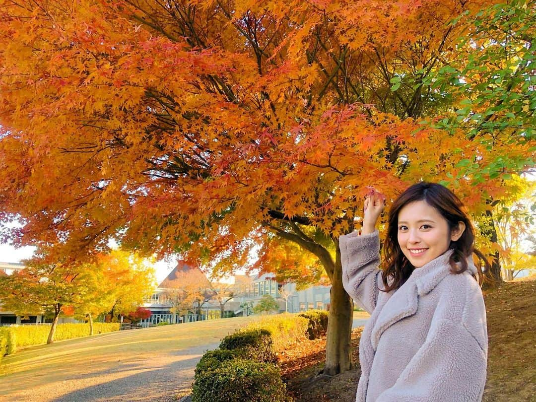 久慈暁子さんのインスタグラム写真 - (久慈暁子Instagram)「* 今朝は京都から紅葉をお届けしましたが 昨日名古屋に行ったら 紅葉が見頃でした🍁 燃えるような赤と黄色の葉が美しい✨ 秋が来たな〜と実感する前に 冬が来た感じがしていたので 感激しました😭 この週末紅葉狩りに出かける方も多いのかな？ あたたかくしてお出かけください☺️ * #愛知 #名古屋 #紅葉 #紅葉を見に行こうよう　 #言いたくなるやつ #今週の久慈さん」11月30日 20時03分 - kuji_akiko