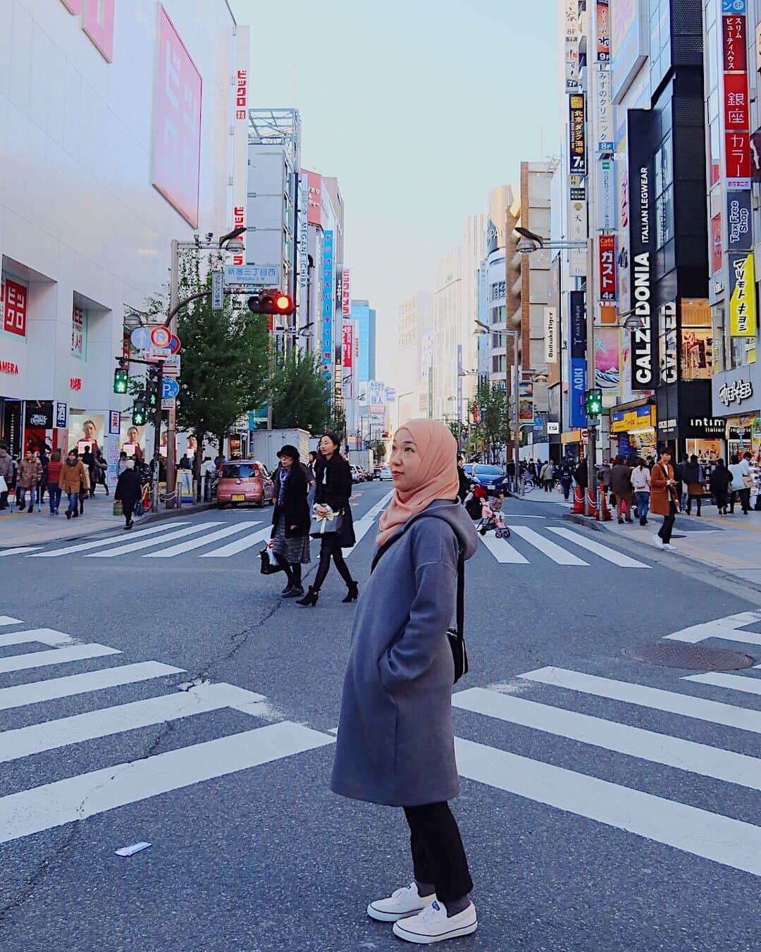 Risa Mizunoのインスタグラム：「Last day of November, winter has come!❄️ Very good season to visit Japan☺️ Bila melawat di Japan pada musim ini terutamanya pada waktu pagi dan malam, jangan lupa bawa pakaian yang mencukupi seperti baju sejuk!  #japanesemuslim #japanesemuslimah #muslim #muslimah #japan #tokyo #shinjuku #japanese #muslimahtokyo #hijab #travel #japantrip #tokyotrip #traveljapan #japanlife #🇲🇾 #🇯🇵」