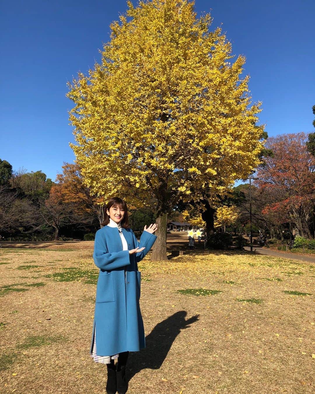 與猶茉穂さんのインスタグラム写真 - (與猶茉穂Instagram)「今週は北の丸公園と神宮外苑いちょう祭りに行ってきました☺︎ 写真は北の丸公園のいちょう。青空に映えていました✨  神宮外苑いちょう祭りはにぎわっていて、おいしそうなお店もたくさん出ていたので、お腹がすいてしまいました！笑  今年は秋の気温が高かったこともあり、いちょうの色づきは平年よりも遅めの所が多いのではないでしょうか。  #いちょう #北の丸公園 #神宮外苑いちょう祭り #ウィークエンドウェザー  #WEW #TBS」11月30日 20時57分 - maho_yonao