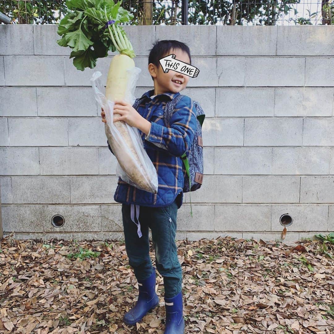 松見早枝子さんのインスタグラム写真 - (松見早枝子Instagram)「今日は息子が種まき→間引きした大根の収穫の日でした🎵 ・ とにかく大きな大根‼️ 葉まで入れると息子の身長とさほど変わらないくらい👀 ・ 今夜はまず、新鮮な葉も息子と一緒に楽しめるよう八宝菜風に😊 ・ 甘くシャキッと瑞々しくて本当に美味しかった❣️ ・ ・ #大根の収穫 #大根料理 #粮理家 #ウェルネスフードスタイリスト #松見早枝子 #wellnessfoodstylist #saekomatsumi」11月30日 21時18分 - saekomatsumi