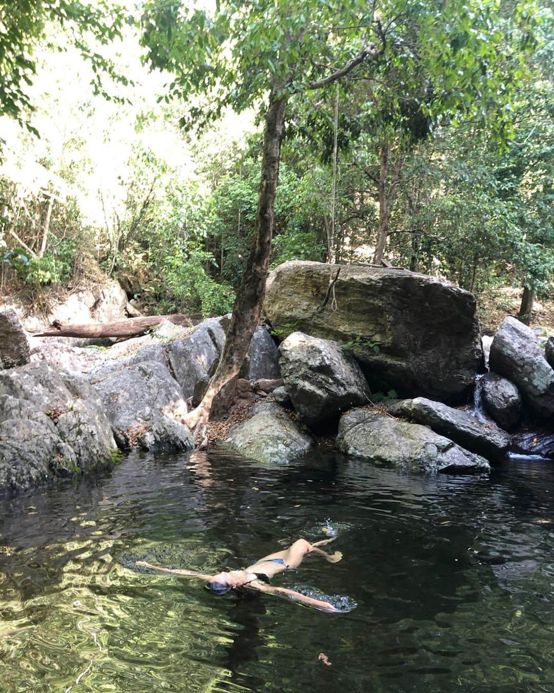 長谷川朋美さんのインスタグラム写真 - (長谷川朋美Instagram)「初めて#ケアンズ に行ったとき @saya.lokahi に連れてきてもらって大好きになった場所へ再び行ってきました✨ ・ #ナショナルパーク に指定されている#亜熱帯雨林 の中には小さな滝がたくさんあって、人々が滝つぼで泳いでいる。 ・ ここのお水は浄化作用がすごくて、浸かっているとみるみる身体が軽くなるから不思議。 ・ 自然の、生命のパワーを全身で感じられり亜熱帯雨林✨ 最高でした❤️❤️❤️ ・ #オーストラリア #Australia #Cairns #nature #浄化 #デトックス #detox #マイナスイオン」11月30日 22時29分 - hasegawa.elena.tomomi