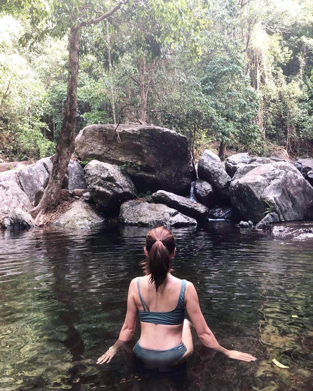 長谷川朋美さんのインスタグラム写真 - (長谷川朋美Instagram)「初めて#ケアンズ に行ったとき @saya.lokahi に連れてきてもらって大好きになった場所へ再び行ってきました✨ ・ #ナショナルパーク に指定されている#亜熱帯雨林 の中には小さな滝がたくさんあって、人々が滝つぼで泳いでいる。 ・ ここのお水は浄化作用がすごくて、浸かっているとみるみる身体が軽くなるから不思議。 ・ 自然の、生命のパワーを全身で感じられり亜熱帯雨林✨ 最高でした❤️❤️❤️ ・ #オーストラリア #Australia #Cairns #nature #浄化 #デトックス #detox #マイナスイオン」11月30日 22時29分 - hasegawa.elena.tomomi