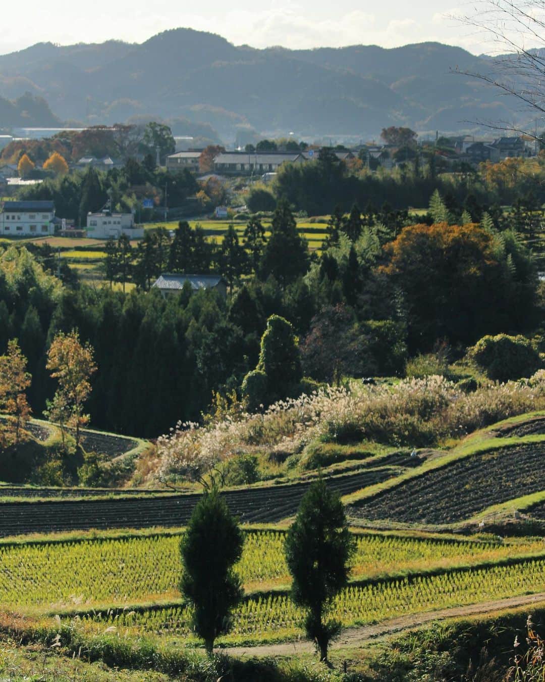 shin_goのインスタグラム：「#2350 2019.11.30sat 奈良・葛城古道、ぐるーりと。」