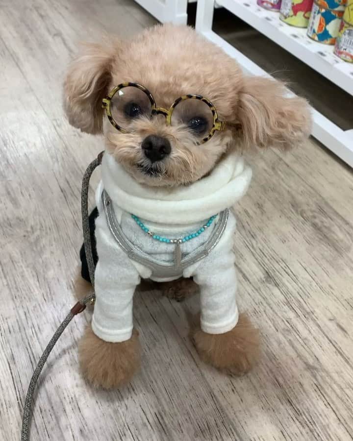 ❤︎Till❤︎のグルメインスタ