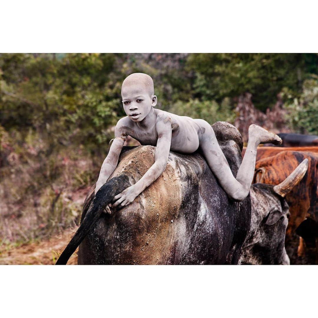 スティーブ・マカリーさんのインスタグラム写真 - (スティーブ・マカリーInstagram)「1st image: Boy from Surma Tribe, Omo Valley, #Ethiopia, 2012. 2nd image: Man herds #sheep with his kelpie, #Angorichina, #Australia, 2018. 3rd image: Mahout washes #elephants in a river, Pegu Hills, #Myanmar, 1994.  Some of these images can be found in my new book, “Animals,” link in my bio to purchase.  #SteveMcCurry #SteveMcCurryAnimals」11月30日 23時44分 - stevemccurryofficial