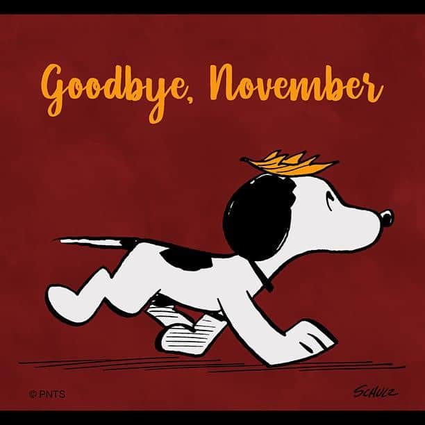 スヌーピーさんのインスタグラム写真 - (スヌーピーInstagram)「You've been great, November.」11月30日 23時41分 - snoopygrams