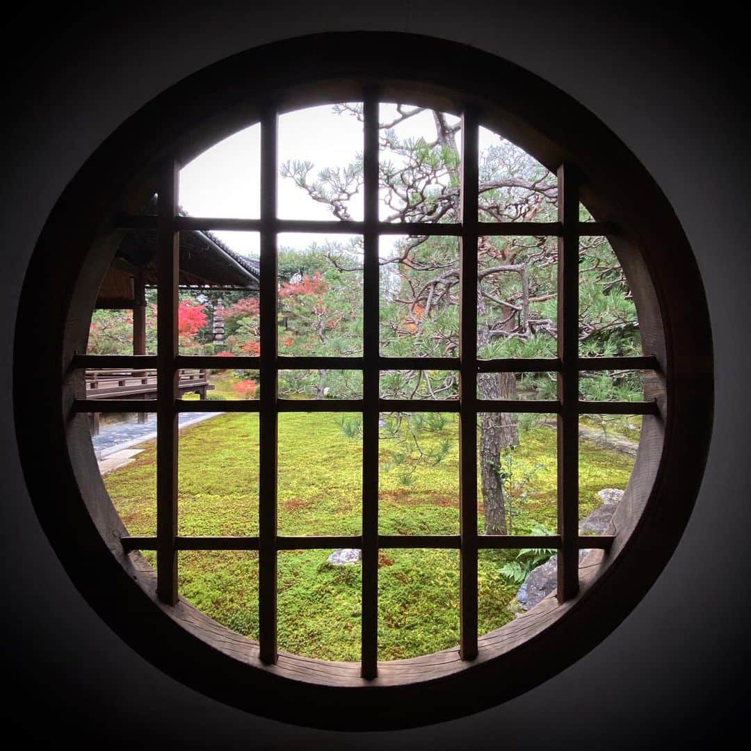 林信行さんのインスタグラム写真 - (林信行Instagram)「#LEXUS が明日（12/1 日曜日）まで京都の３ヶ所で開催している #TakumiCraftConnectionKyoto 既に #京都新聞 と #平安神宮額殿　については投稿したが、実はもう１ヶ所、 紅葉の美しい建仁寺の両足院でもステキな展示が行われている。 同院の副住職を務める伊藤東凌氏がキュレーターとなり、京都の文化の担い手 x若き匠をコラボレーションした作品が美しい石庭や院内に飾られている。  １組目は茶人 中山福太郎さんと伝統工芸士の東福太郎さんが木のおもちゃでつくった休憩室  ２組目は美術家の林智子さんと石川県加賀水引の５代目、今や日本文化に深く根付いた「水引き」というものをつくった家の５代目、津田六佑さんが美しい水引きの作品をつくった。  切り絵作家の望月めぐみさんとガラス作家の十川賀菜子さんは存在感の大きな蛇の作品をつくった。  建築家の竹内誠一郎さん（今回、私が宿泊したnode hotelの建築家）と土佐和紙職人の濱田洋直さんは高知は仁淀川からもってきた無数の小石を土佐和紙で天井から吊るして広間をいくつかの空間に区切る中に入って楽しめる作品をつくった。  アーティスト 美素食（meisushi）さんと陶芸家の和田山真央さんは枯山水とそれに面した部屋に置かれた陶器に餃子の一種をモチーフにした作品を展示。人新世時代、地球を食い尽くす勢いを、地球の山川草木の循環と捉え直す作品を展示している。  普段は拝観ができない両足院を楽しめるだけでなく、そこにこうした特別な作品が飾られている滅多にない機会。 明日、京都にいる人はぜひとも訪れてみて欲しい。」12月1日 0時01分 - nobihaya