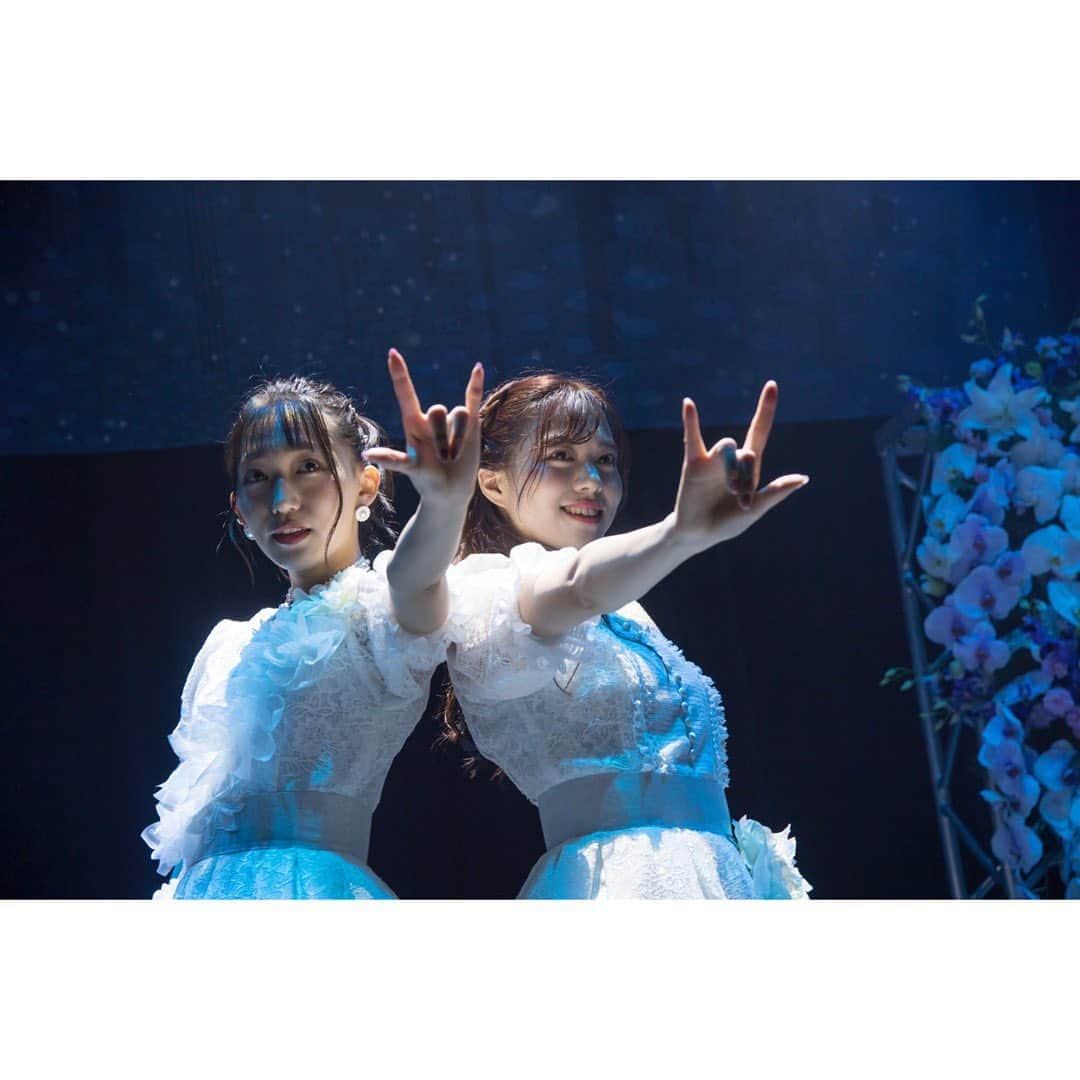 青木千春のインスタグラム：「・ 2019.11.24 ・ WHY@DOLL ラストライブ ・ 8年間の感謝の気持ちを込めて。 史上最高のほわどる。 忘れられないラストライブ！ ・ はーちゃんと2人でつくる ステージはいつも楽しくて はーちゃんとじゃないと ここまで歌えなかった。 どんな時も支えてくれて 夢を一緒に追いかけてくれた 世界でいちばんの相方は これからもはーちゃんしか いないよ！ありがとう！ ほわどるを応援してくれる 皆さんもいつもあたたかくて 素敵な方達ばかりでした。 ほわどるになれてたくさんの 夢を叶えることができました。 一緒に色んな景色を見てくれて 乗り越えてくれてありがとう！ みんなと過ごした8年間は 何にも変えられない最高の 宝物です。 ・ ほわどるに出会ってくれて 本当にありがとうございました！ ・ 2019.11.30」