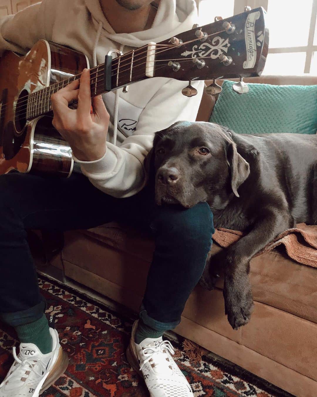 Pleun Bierboomsさんのインスタグラム写真 - (Pleun BierboomsInstagram)「Music and dogs. My two favorite things in the world. (And food) 🥑」12月1日 0時19分 - theofficialplume