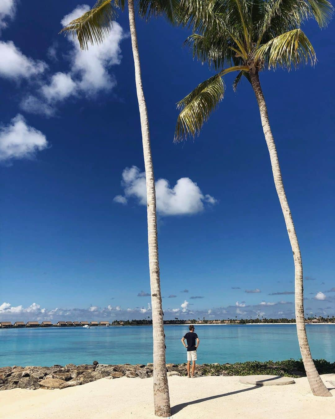 ダビド・ゴフィンさんのインスタグラム写真 - (ダビド・ゴフィンInstagram)「🚶🏼‍♂️🌴☀️ . . . #WaldorfAstoriaMaldives #WaldorfAstoria #LiveUnforgettable #Pkslist」12月1日 0時25分 - david__goffin