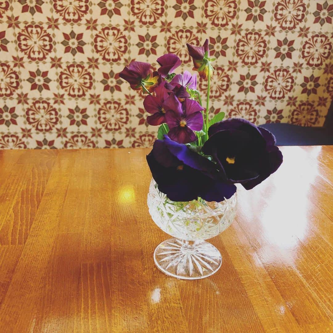 南壽あさ子さんのインスタグラム写真 - (南壽あさ子Instagram)「昨日は栃木・那須高原Garden House SARA（@gardenhousesara）にて、"Neutral" Tourのソロワンマンライブをおこないました。 すみれ色のくるみボタンのクリップを手作りしてくださったりお花を飾ってくれたり、愛に溢れたイベントとなりました。ナスinナス。お越しくださったみなさん、ありがとうございました！ #那須高原 #那須塩原 #那須 #gardenhousesara #すみれ #パンジー #neutral #スミレ #菫 #flower」12月1日 11時23分 - nasuasaco