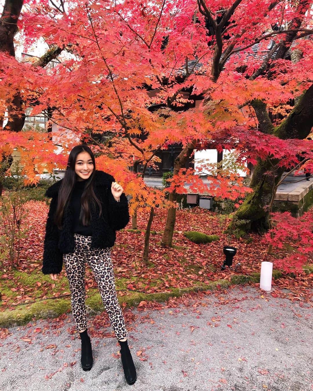 TANAKA ALICEさんのインスタグラム写真 - (TANAKA ALICEInstagram)「そうだ　京都、行こう。🍁 * とマネージャーさんとなり、大阪でのラジオの前に京都の永観堂に行ってきた〜👏🏼 * 東京とはまた違う美しさがある京都！❤️ * 京都の街並みは落ち着いてて、上品ですごく好き！ * 紅葉もめちゃくちゃ綺麗で、日本の美しさを改めて感じました！  毎年この綺麗な景色を観に行きたいなって思った！  #永観堂#京都#紅葉#そうだ京都行こう #kyoto#eikando#japan」12月1日 11時25分 - tanakaalice