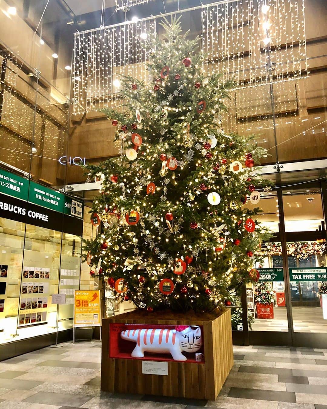 西村季里子のインスタグラム：「・ 今日から12月だって🎄 1年が早すぎるよ〜〜〜 いろいろあったな〜今年も💭(まだ早い) 今月だけでもとてもいい1ヶ月にして 終わり良ければ全て良し状態にしたい😇 #12月#2019#最後の1ヶ月#年末 #クリスマス#クリスマスツリー#🎄 #銀座#どこもかしこもクリスマス #イルミネーション#電気 #クリスマスプレゼント#欲しいです #followｍe #follow」