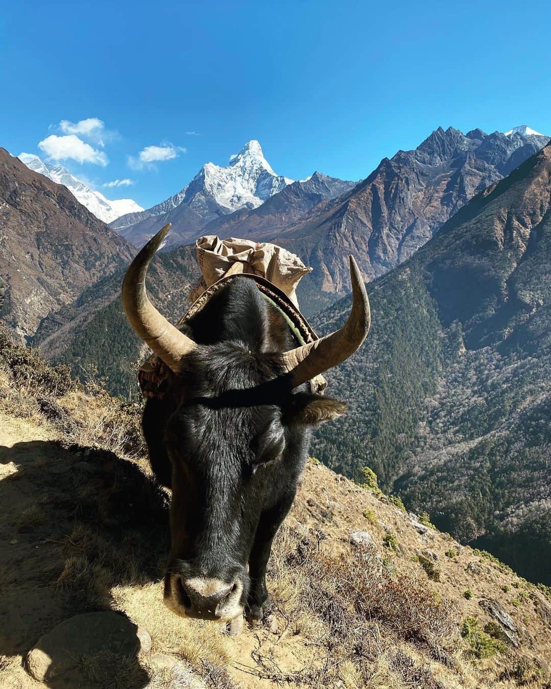 アンナ・アンドレスさんのインスタグラム写真 - (アンナ・アンドレスInstagram)「God bless Himalayas!🌄Pictures and videos can’t convey the atmosphere and real spirit! So happy I made decision to make this not easy adventure, it’s 100% worth it  #TheHimalayas #Everest #trekkinginhimalayas #annaandres #Nepal #everestbasecamptrek」12月1日 3時48分 - ann.andres