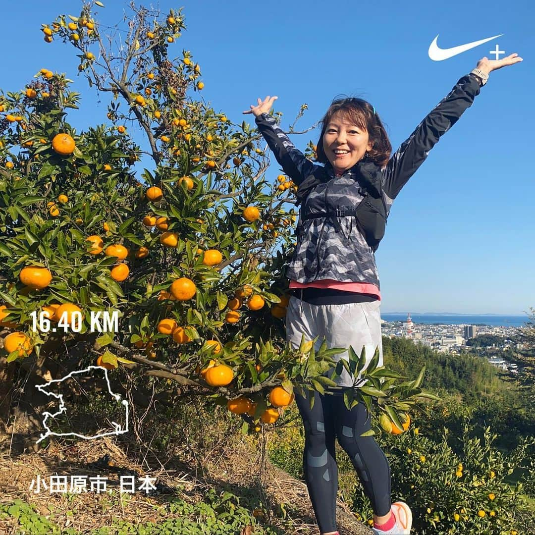 run+さんのインスタグラム写真 - (run+Instagram)「ちょっとそこまで #小田原 #みかん狩りラン #試走 青空にみかんが最高－っ🍊✨ ・ #かまぼこ博物館 #おはぎ #あんぱん #外郎 ・ #写ラン #写真で伝えたい私の世界 ・ #ランニング #RUN #ゆるラン ・ #街ラン #街RUN ・ #GARMIN #ガーミン #ナイキプラス #ハシリマスタグラム #ハシリマスタグラム #ハシリマシタグラム #走るひと ・ #Runday #RunLovesLife」12月1日 5時40分 - runplus