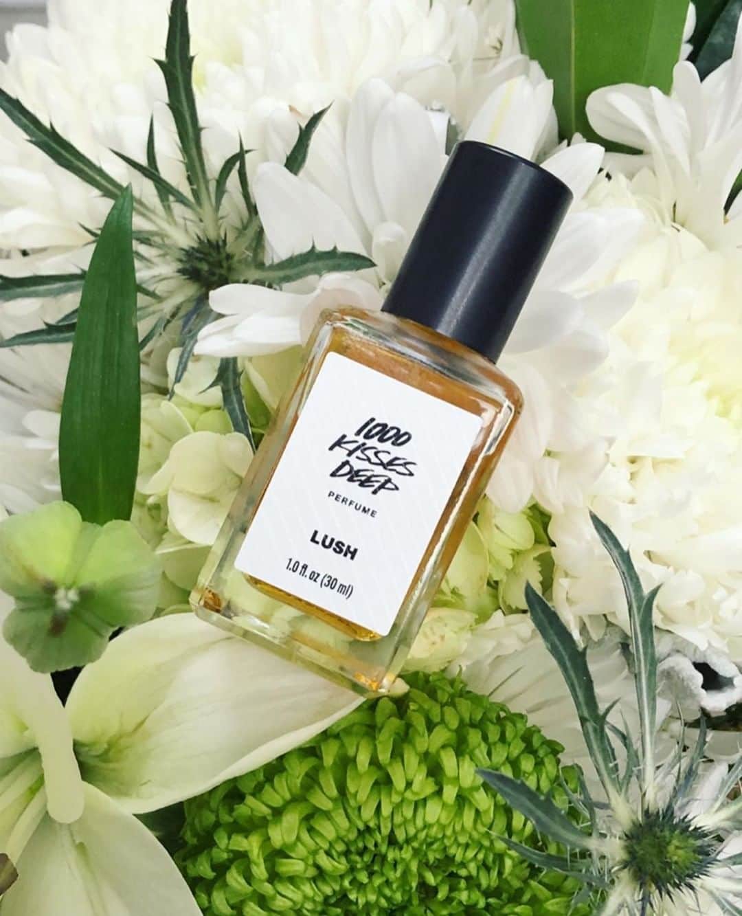 LUSH Cosmeticsさんのインスタグラム写真 - (LUSH CosmeticsInstagram)「When you've been with someone for over a thousand kisses, you know you've found something real. 😘⁠ ⁠ Our 1000 Kisses Deep perfume is a romantic fragrance that captures the nuanced sweetness that comes with lasting love, with citrus notes mingling with an earthy base and a sparkling amber top note.⁠ ⁠ Ready to spritz? Find it on our link in bio. 💚⁠ ⁠ /📷: @latheringlush⁠ *⁠ *⁠ *⁠ *⁠ *⁠ *⁠ #fragrance #beauty #scent #perfumes #parfum #lifestyle #perfumelover」12月1日 6時40分 - lushcosmetics