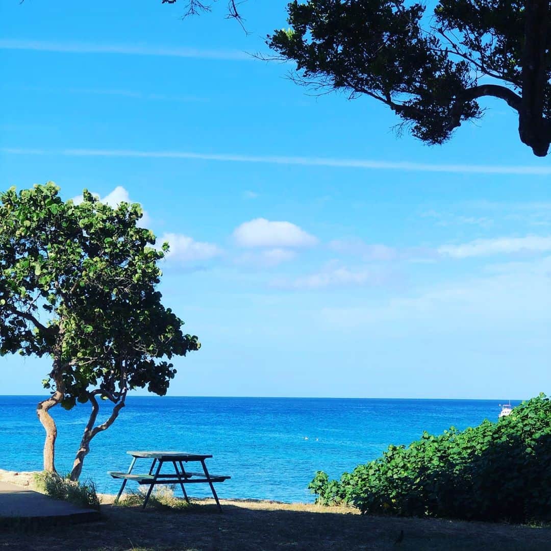 渡部幸也さんのインスタグラム写真 - (渡部幸也Instagram)「ハワイでのヘアメイク業4日目🌴  日本の寒さとうって変わって、ハワイは天気も良く日差しも強く、常夏感が凄いです🌺  それでもハワイは気候も良くて、外も本当に気持ち良くて日焼けする日々ですね😅 なのでこのくらいの日焼けでも、この時期なので、日本に戻るとうく感じかもと😅😅 とにかく毎日、元気でやってます✨  日本でのサロン✂︎業務は、12/4の水曜日からになります🙇 美容師としても本気で頑張りますので、皆様からのご予約、心よりお待ちしています✨✂︎✨ #ヘアスタイル #ヘア #髪型 #ヘアカタログ #ヘアセット #くせ毛風パーマ #透明感カラー #ハワイ #恵比寿美容院 #代官山美容室 #代官山美容院 #美容学生 #中目黒美容師 #代官山美容師 #恵比寿美容師 #中目黒美容室 #中目黒美容院 #恵比寿美容室 #サロンモデル #中目黒ランチ #恵比寿ランチ #hpb_hair #中目黒 #代官山 #恵比寿 #渋谷 #ar_magazine #murua #emoda #americanvintage」12月1日 7時08分 - watabeyukiya