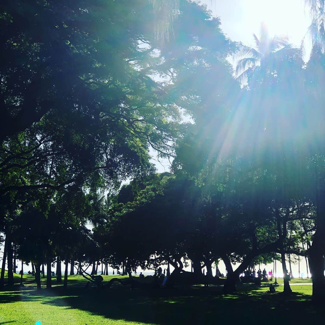 渡部幸也さんのインスタグラム写真 - (渡部幸也Instagram)「ハワイでのヘアメイク業4日目🌴  日本の寒さとうって変わって、ハワイは天気も良く日差しも強く、常夏感が凄いです🌺  それでもハワイは気候も良くて、外も本当に気持ち良くて日焼けする日々ですね😅 なのでこのくらいの日焼けでも、この時期なので、日本に戻るとうく感じかもと😅😅 とにかく毎日、元気でやってます✨  日本でのサロン✂︎業務は、12/4の水曜日からになります🙇 美容師としても本気で頑張りますので、皆様からのご予約、心よりお待ちしています✨✂︎✨ #ヘアスタイル #ヘア #髪型 #ヘアカタログ #ヘアセット #くせ毛風パーマ #透明感カラー #ハワイ #恵比寿美容院 #代官山美容室 #代官山美容院 #美容学生 #中目黒美容師 #代官山美容師 #恵比寿美容師 #中目黒美容室 #中目黒美容院 #恵比寿美容室 #サロンモデル #中目黒ランチ #恵比寿ランチ #hpb_hair #中目黒 #代官山 #恵比寿 #渋谷 #ar_magazine #murua #emoda #americanvintage」12月1日 7時08分 - watabeyukiya