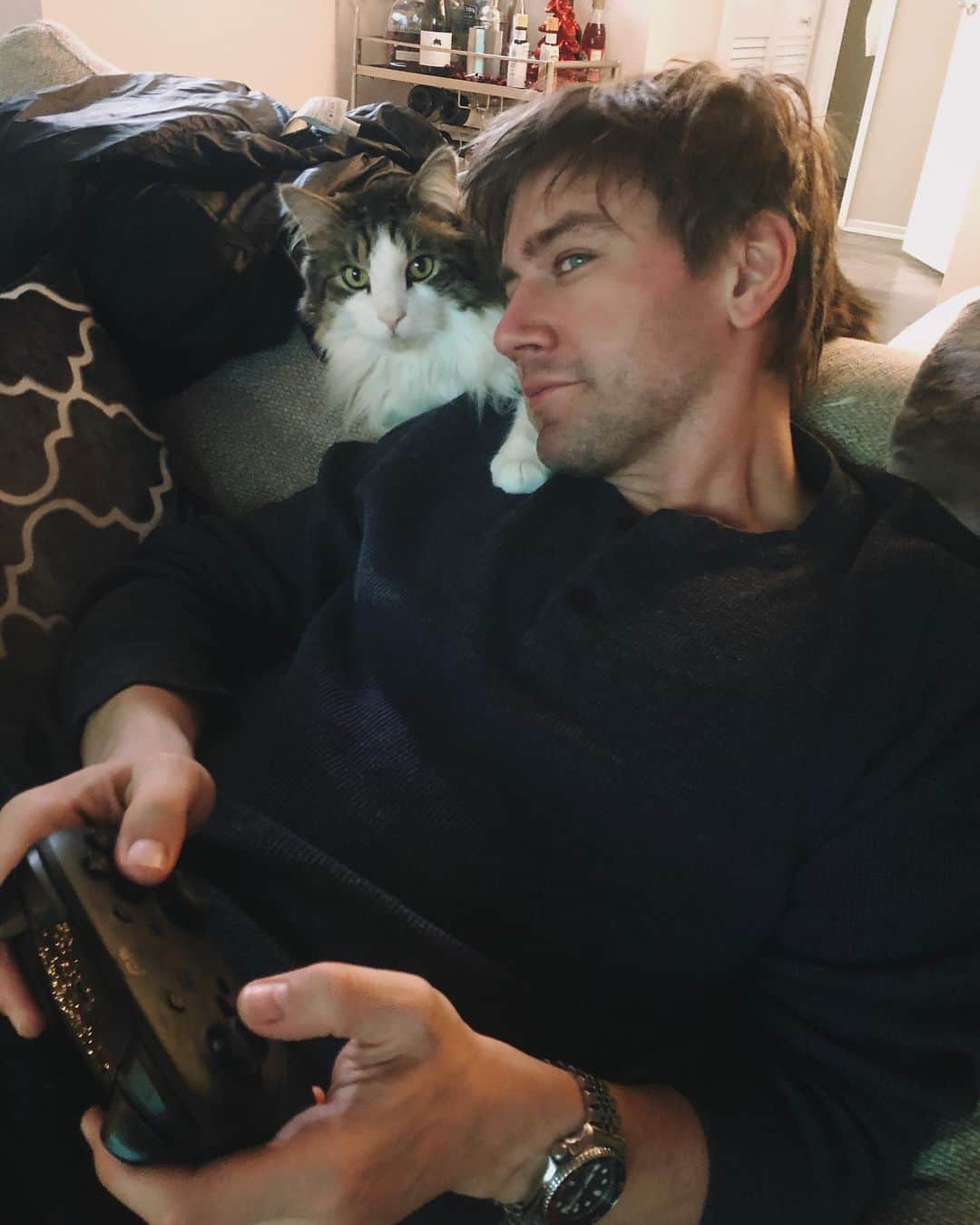 トーランス・クームスのインスタグラム：「Renly helping me keep my Cuphead game strong.」